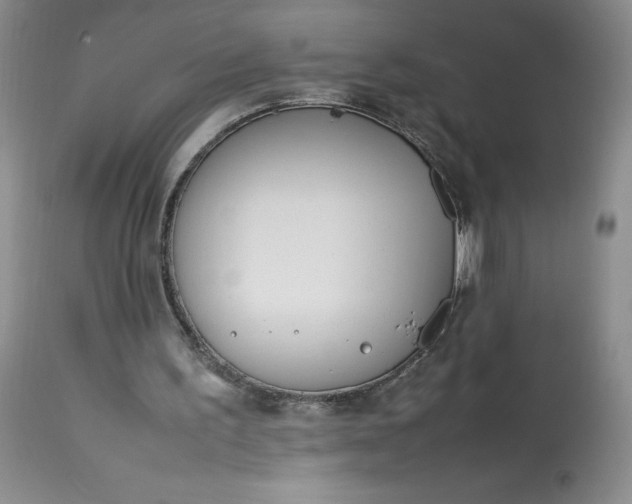 X0000113350195200909291103