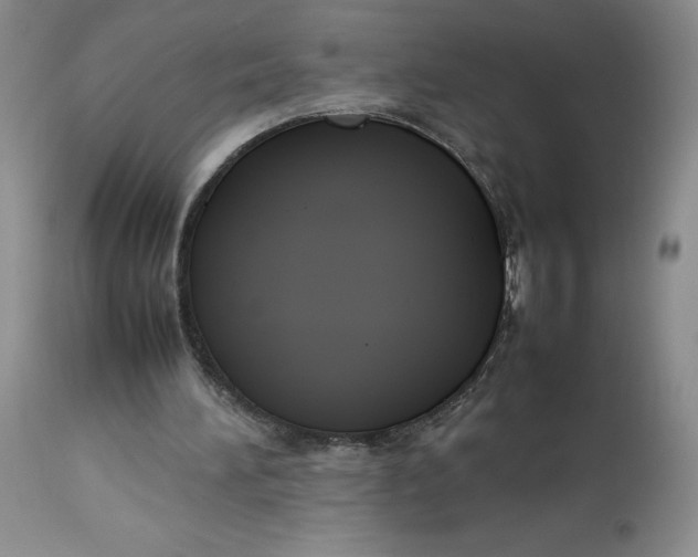 X0000113350196200909291103