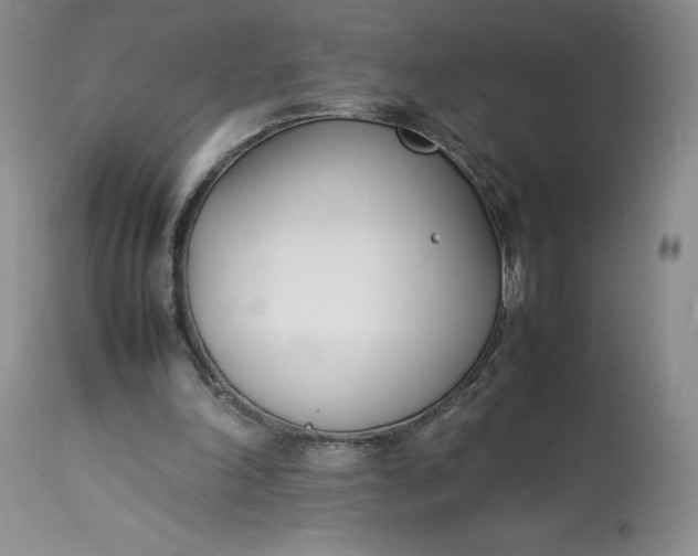 X0000113350198200909291103