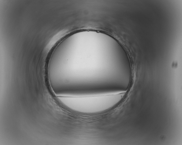 X0000113350199200909291103