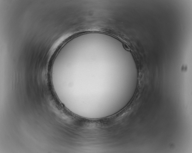 X0000113350200200909291103