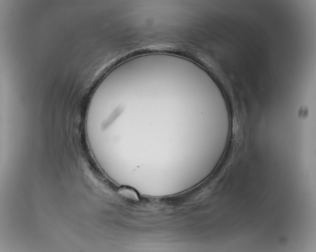 X0000113350201200909291103