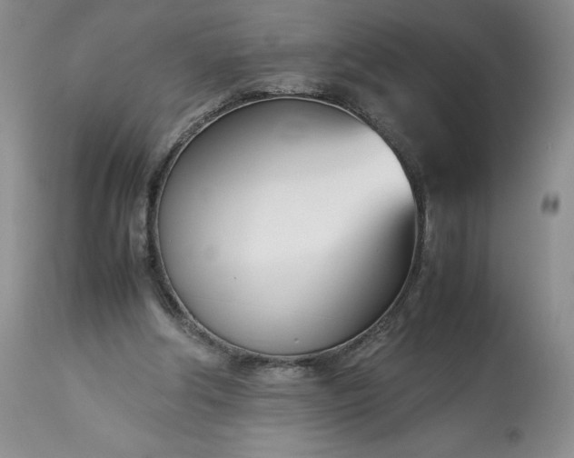 X0000113350202200909291103