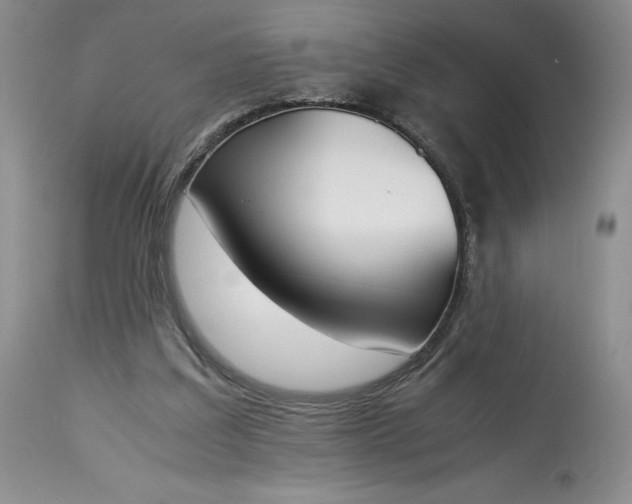 X0000113350203200909291103