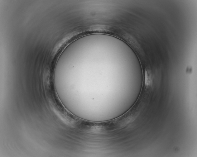 X0000113350204200909291103