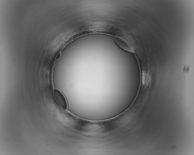 X0000113350205200909291103