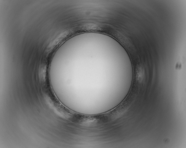 X0000113350206200909291103