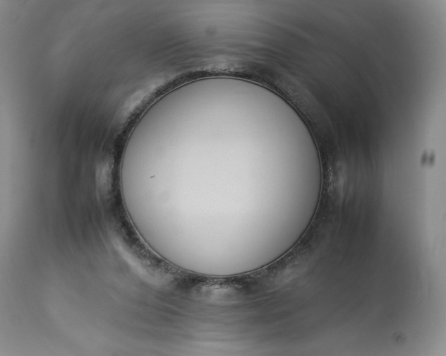 X0000113350208200909291103