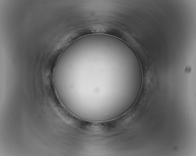 X0000113350209200909291103