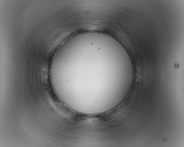 X0000113350210200909291103