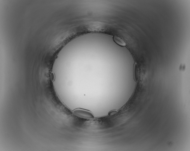 X0000113350211200909291103