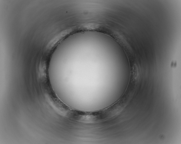 X0000113350212200909291103