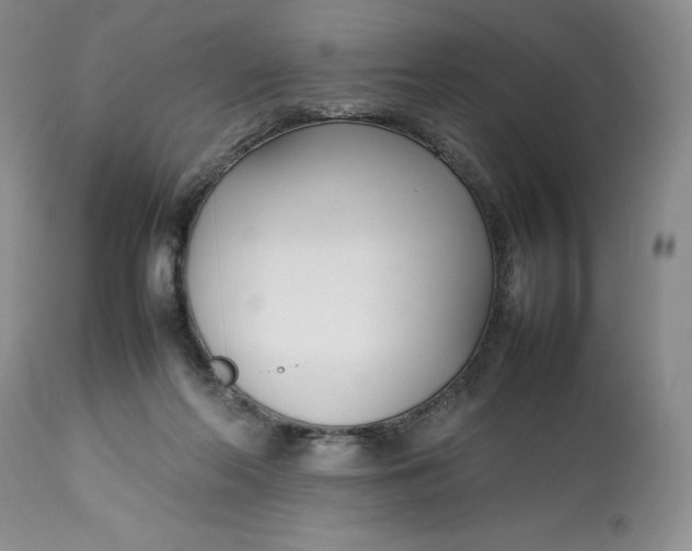 X0000113350214200909291103