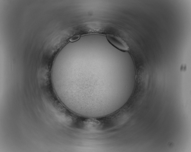 X0000113350215200909291103