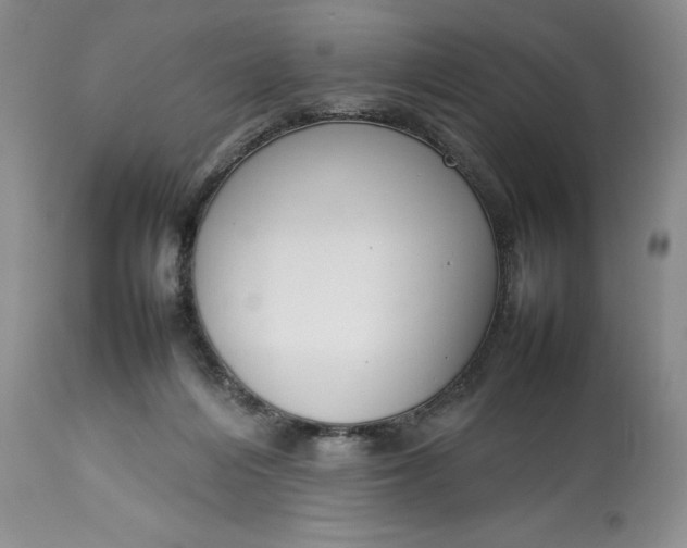 X0000113350216200909291103