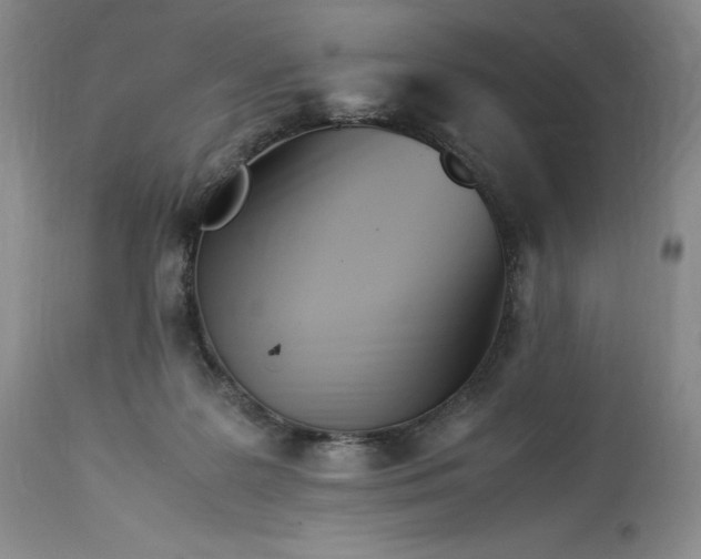 X0000113350219200909291103