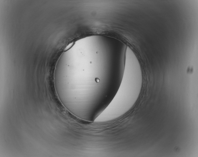 X0000113350221200909291103