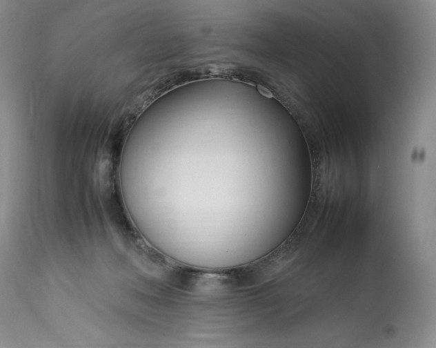 X0000113350222200909291103