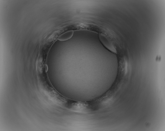 X0000113350223200909291103