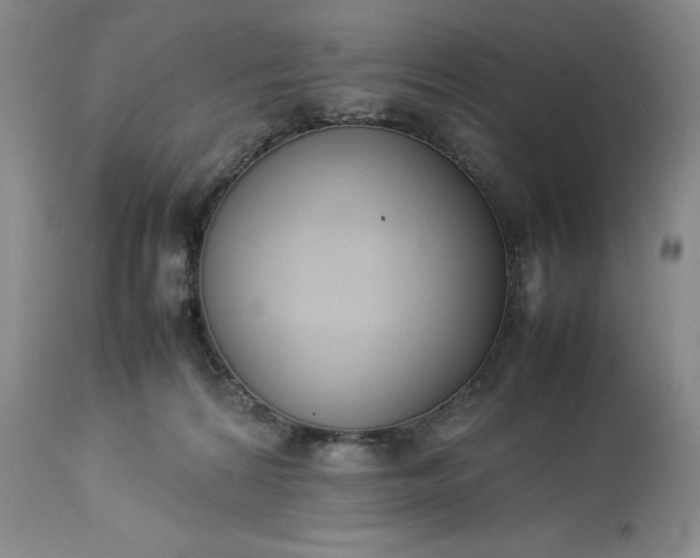 X0000113350224200909291103