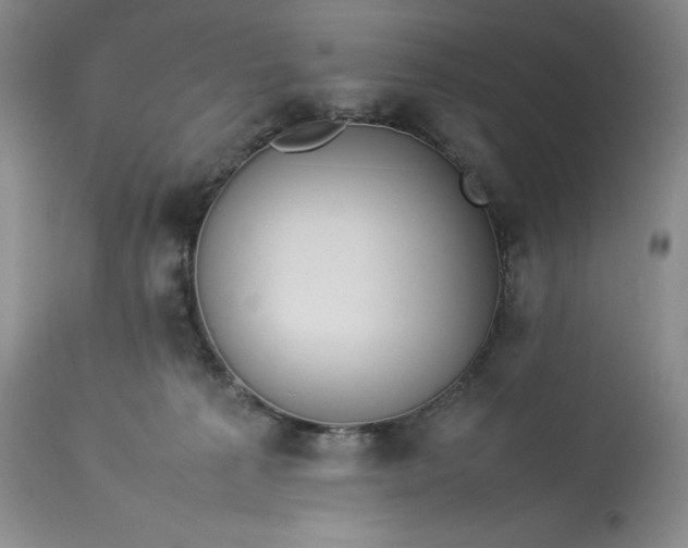 X0000113350225200909291103