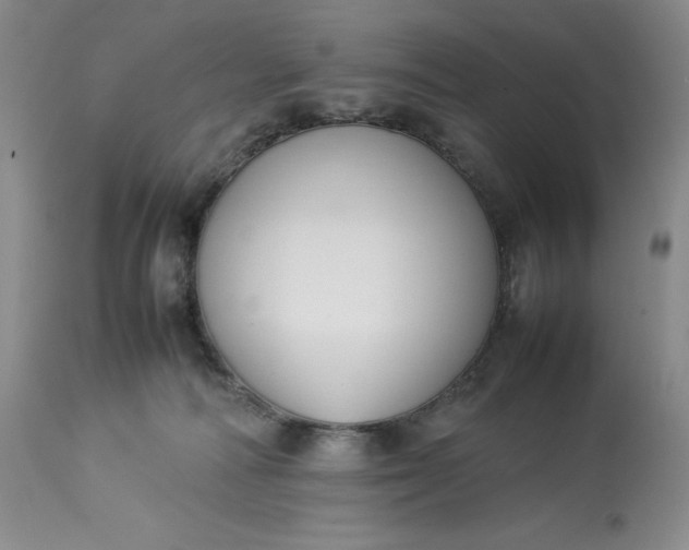 X0000113350226200909291103