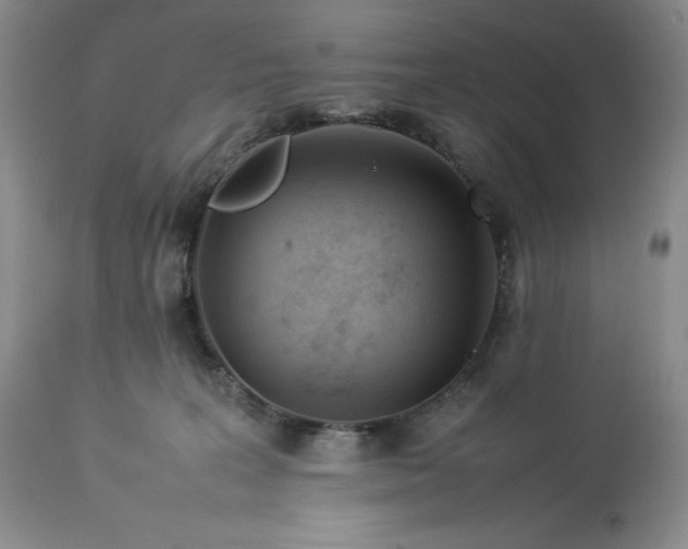 X0000113350227200909291103