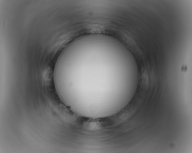 X0000113350228200909291103