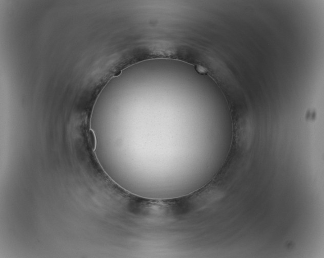 X0000113350229200909291103