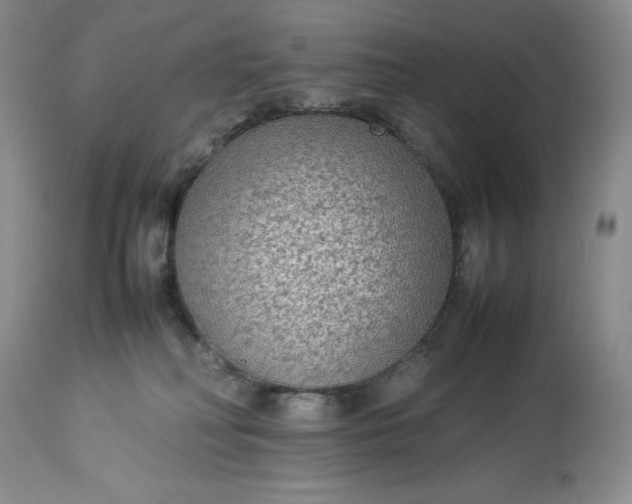 X0000113350230200909291103