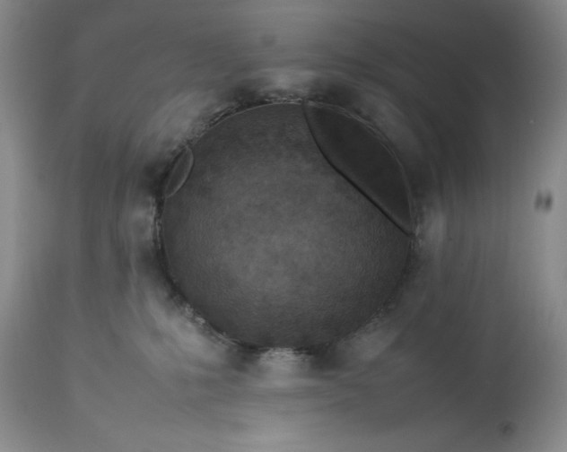 X0000113350231200909291103