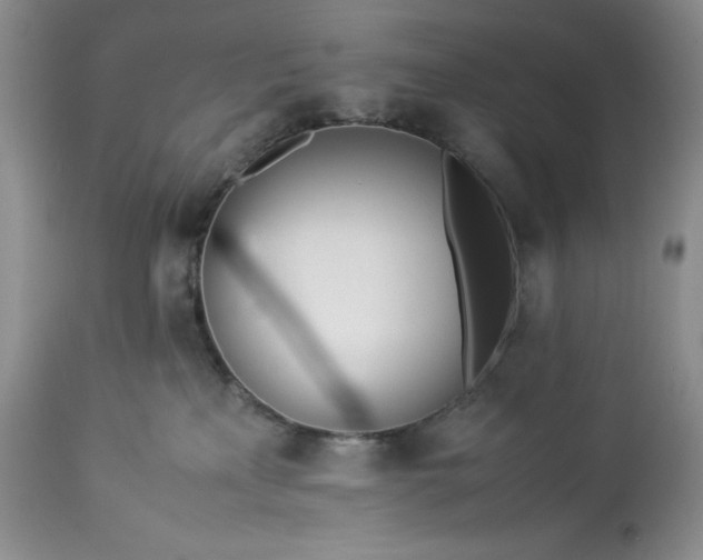 X0000113350233200909291103