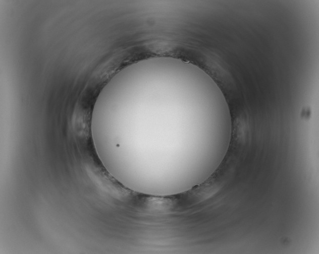 X0000113350234200909291103