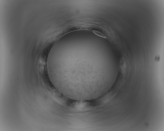 X0000113350235200909291103