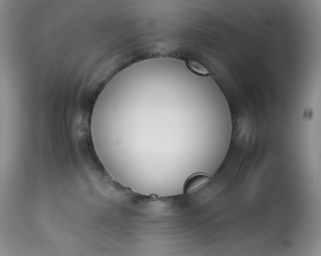 X0000113350236200909291103