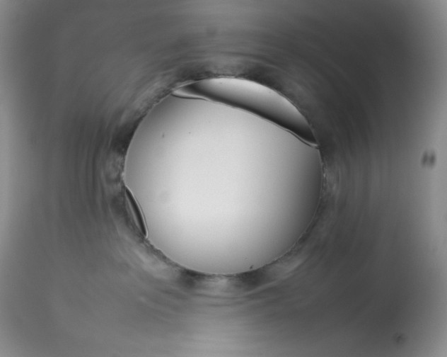 X0000113350237200909291103