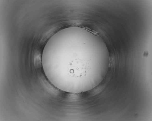 X0000113350238200909291102