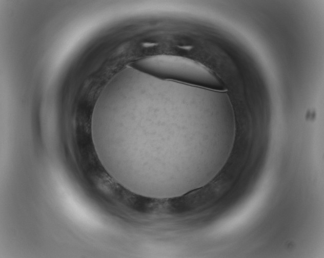 X0000113350239200909291102