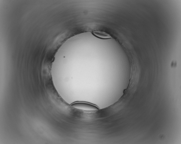 X0000113350240200909291102