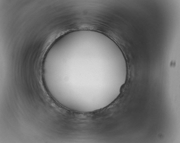 X0000113350241200909291102