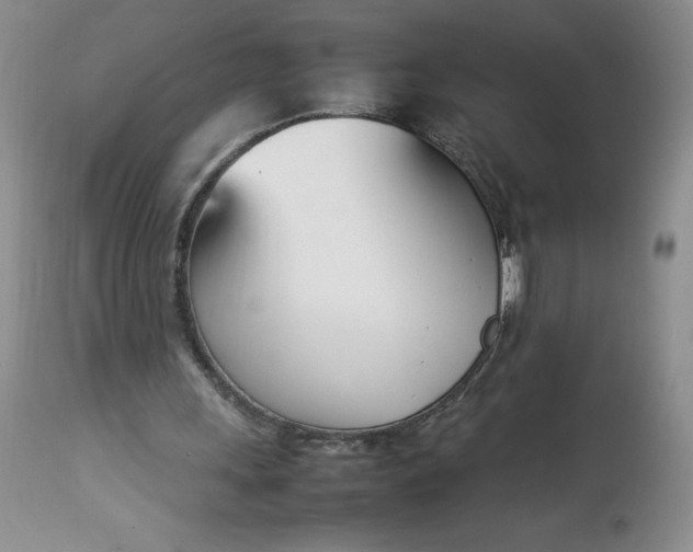 X0000113350243200909291102