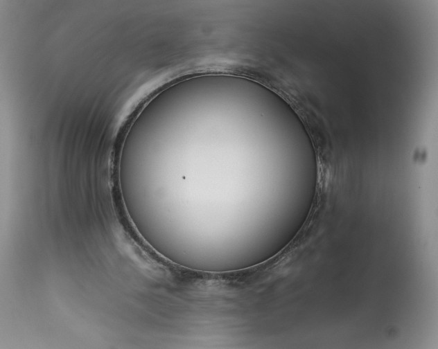 X0000113350244200909291102