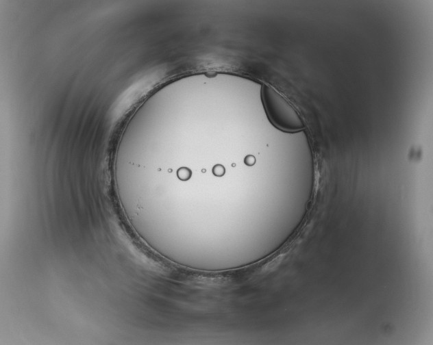 X0000113350245200909291102