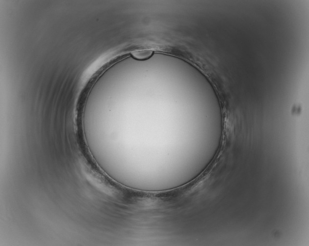 X0000113350246200909291102