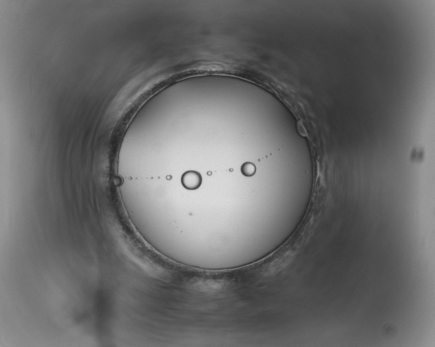 X0000113350247200909291102