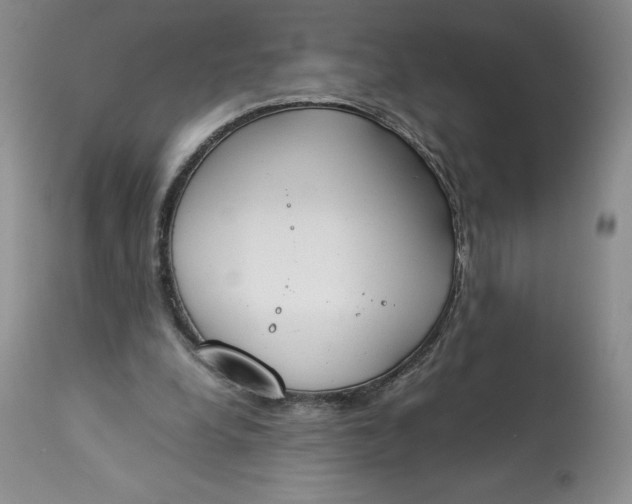 X0000113350248200909291102