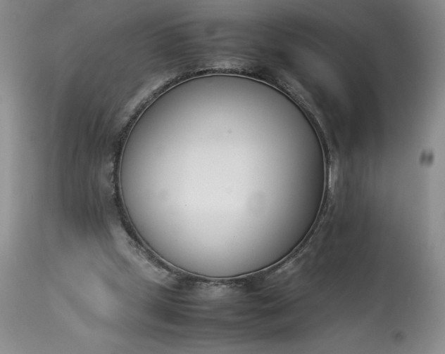 X0000113350249200909291102