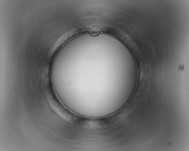 X0000113350250200909291102