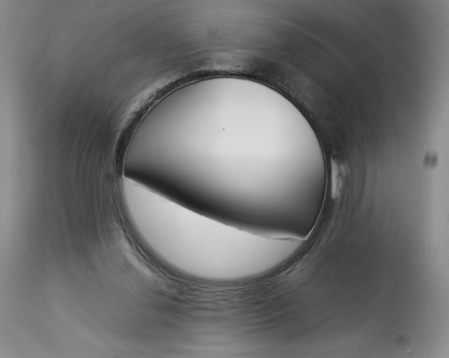 X0000113350252200909291102