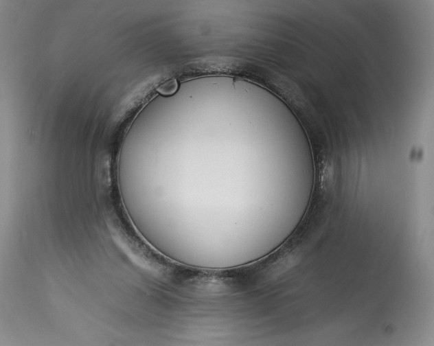 X0000113350254200909291102